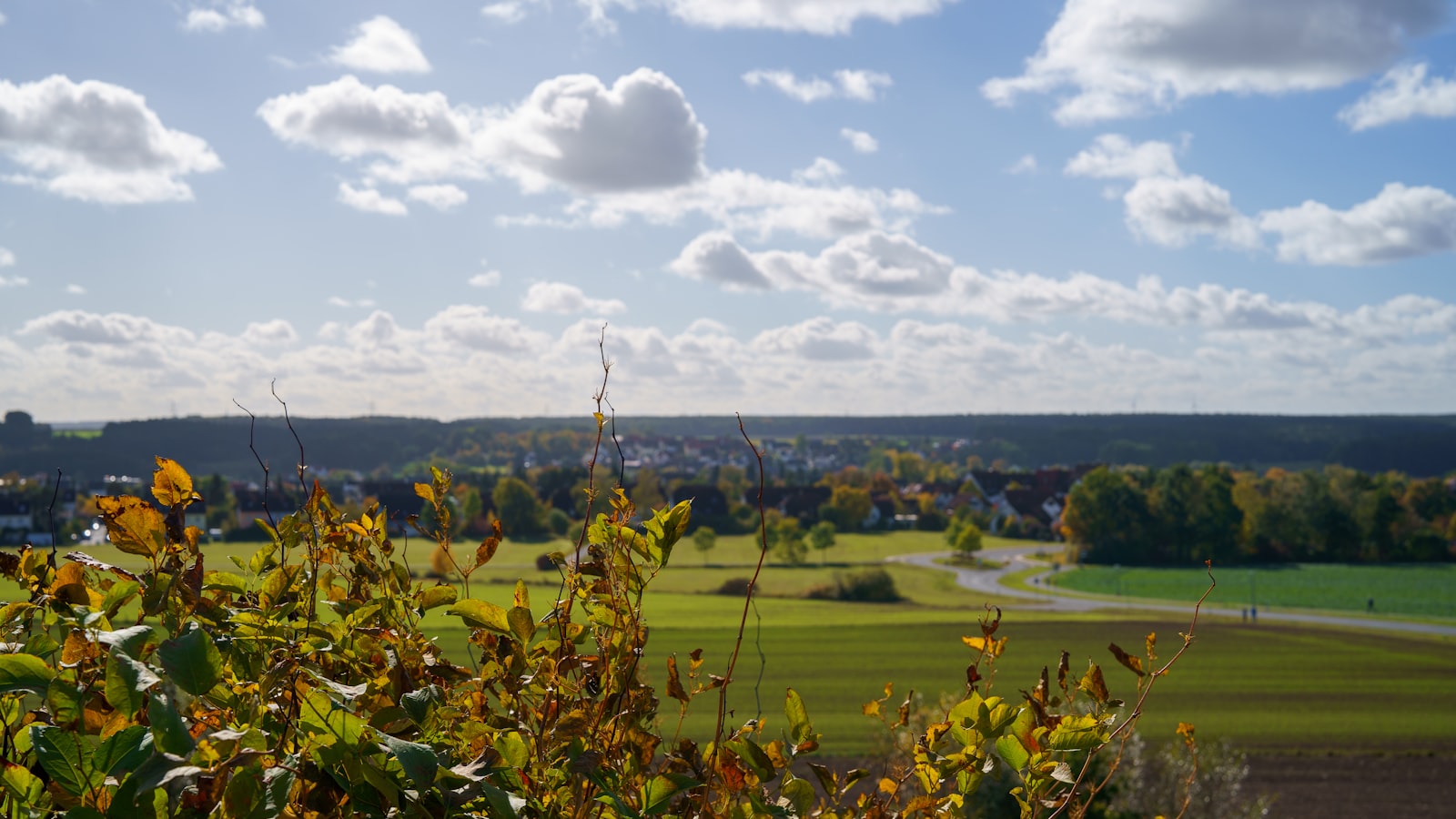 Herzogenaurach Travel Guide 2026: Best Times, Attractions & Food