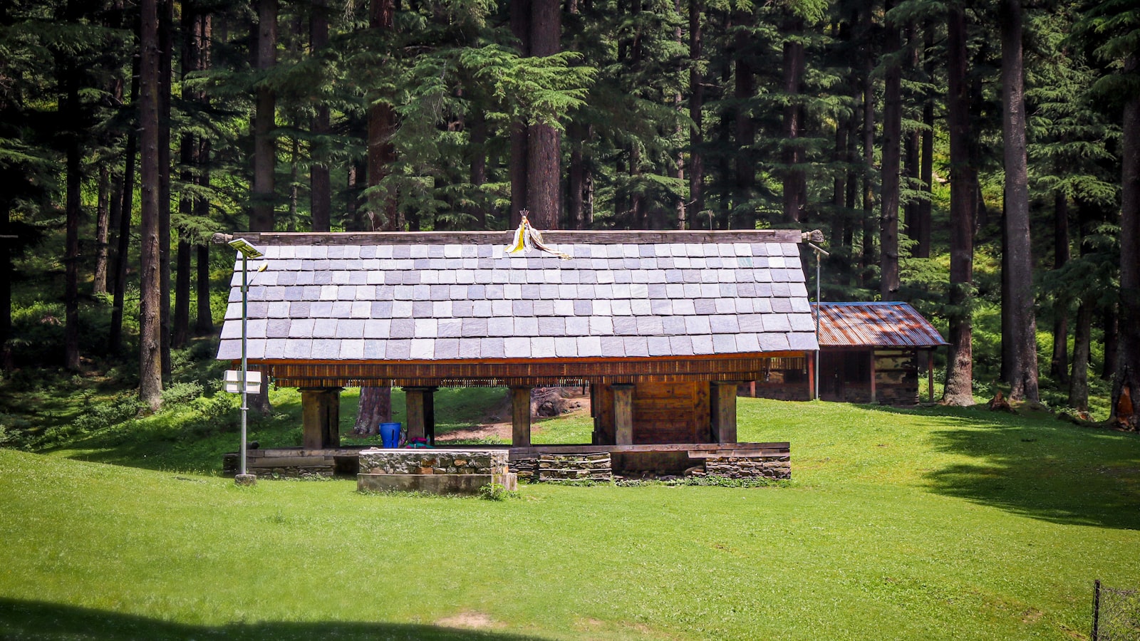 Jibhi Travel Guide 2026: Best Time, Attractions, Food & Stay
