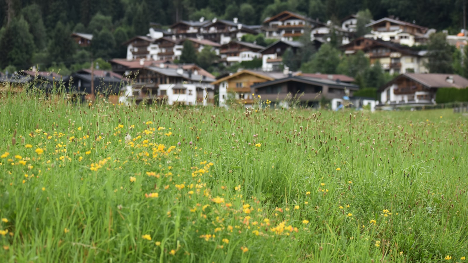 Kirchberg in Tirol Travel Guide 2026: Best Time, Attractions & Food