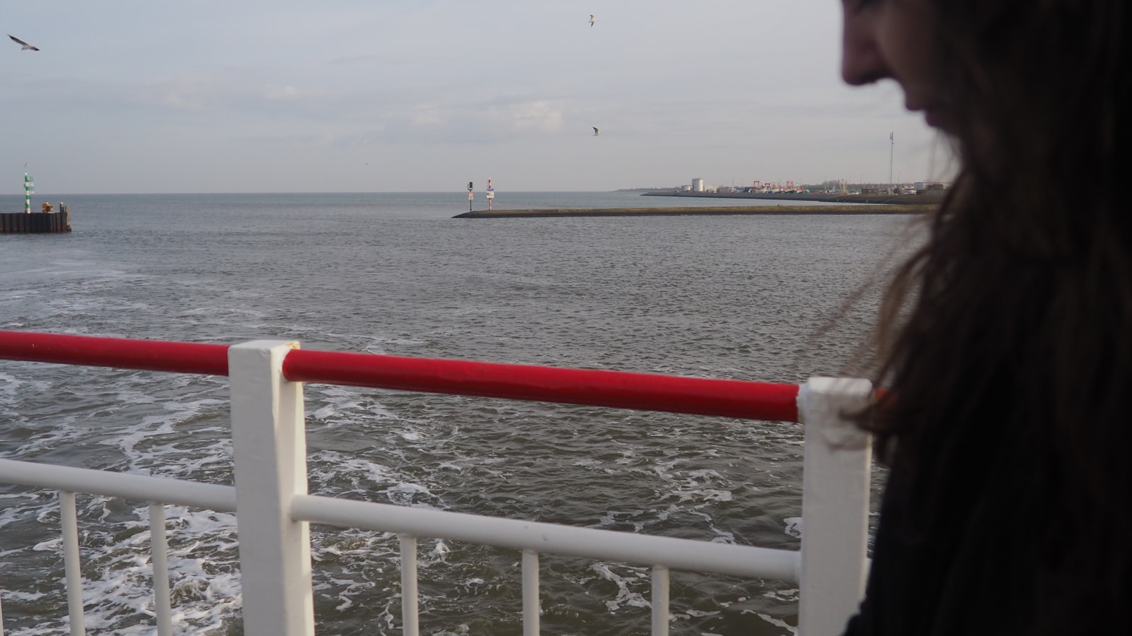 Lauwersoog Travel Guide 2026: Best Time, Attractions & Food