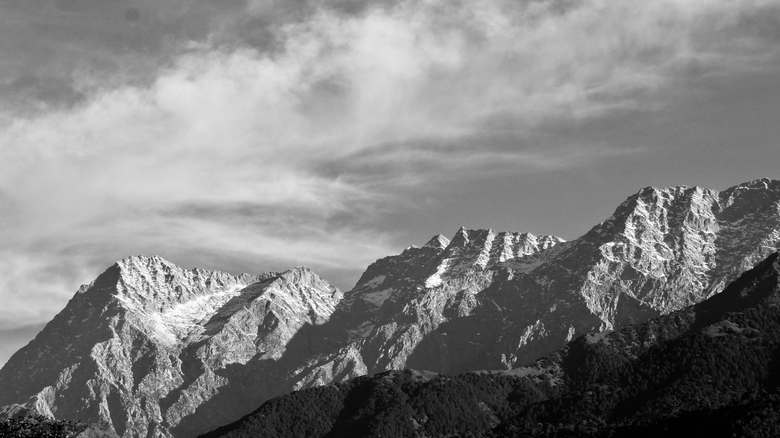 Palampur Travel Guide 2026: Best Time, Attractions, Food & Stay