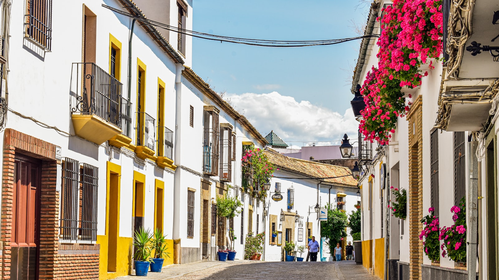 Rincon de la Vieja Travel Guide 2026: Best Time, Attractions & More
