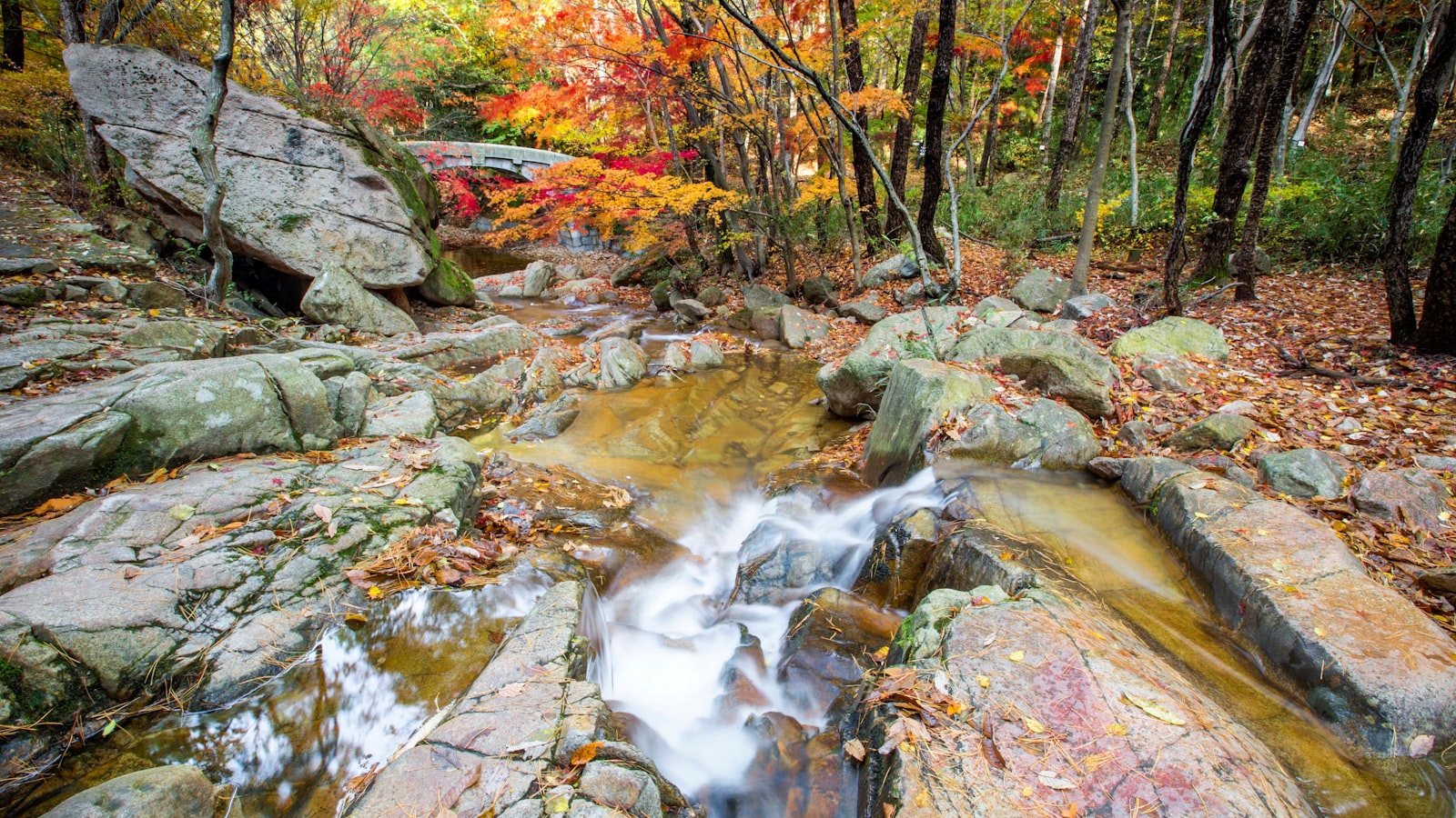 Yeongam-gun Travel Guide 2026: Best Time, Attractions & Food