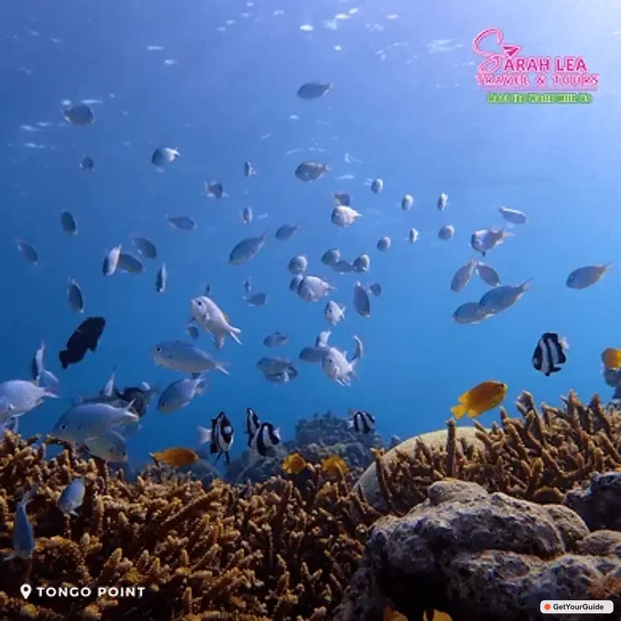 Boracay, Cebu & Coron 9-Day Island Adventure