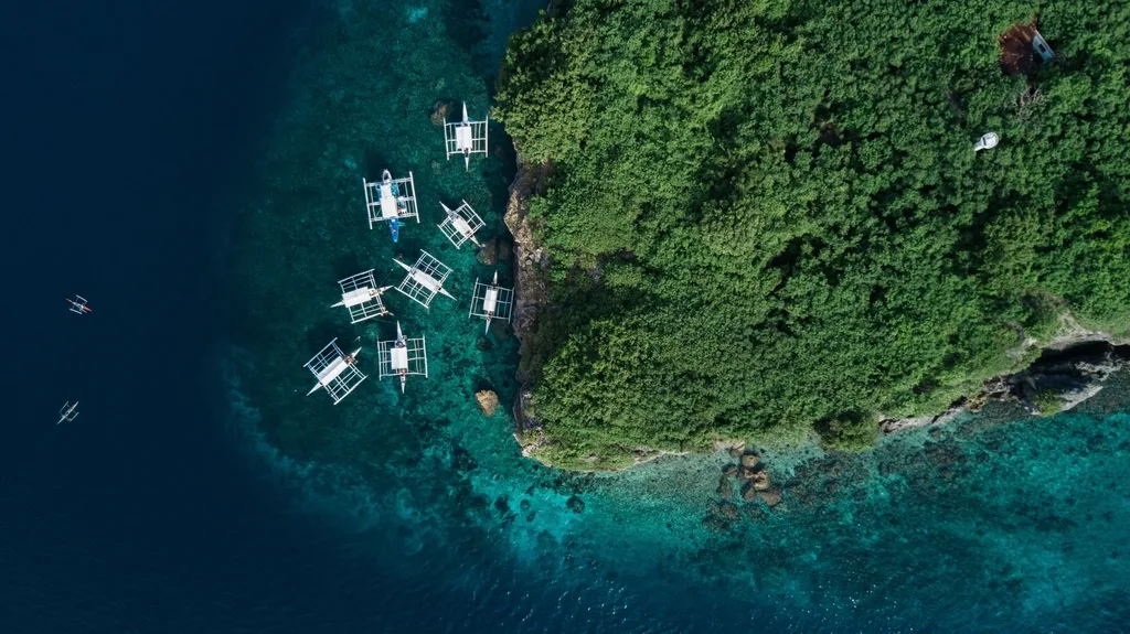 Moalboal Pescador Island Scuba Diving & Sardine Run 1