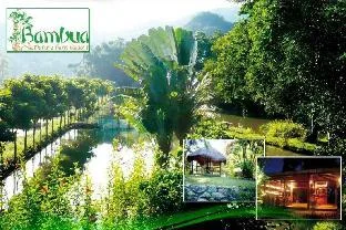 Bambua Nature Cottages and Hostel