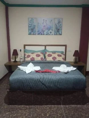 Peace Lily Studio Apartment Down