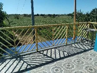 ANGEL'S FARM VIEW