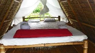 Harmony Healing Resort
