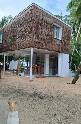 Remy's lodge
