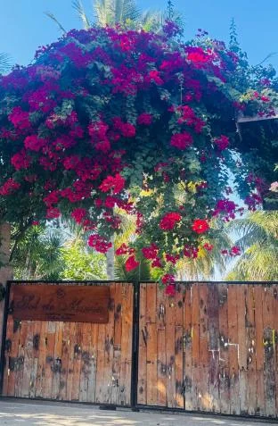 Sol De Maria Boutique Resort, Carles