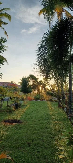 Asuneus Farm