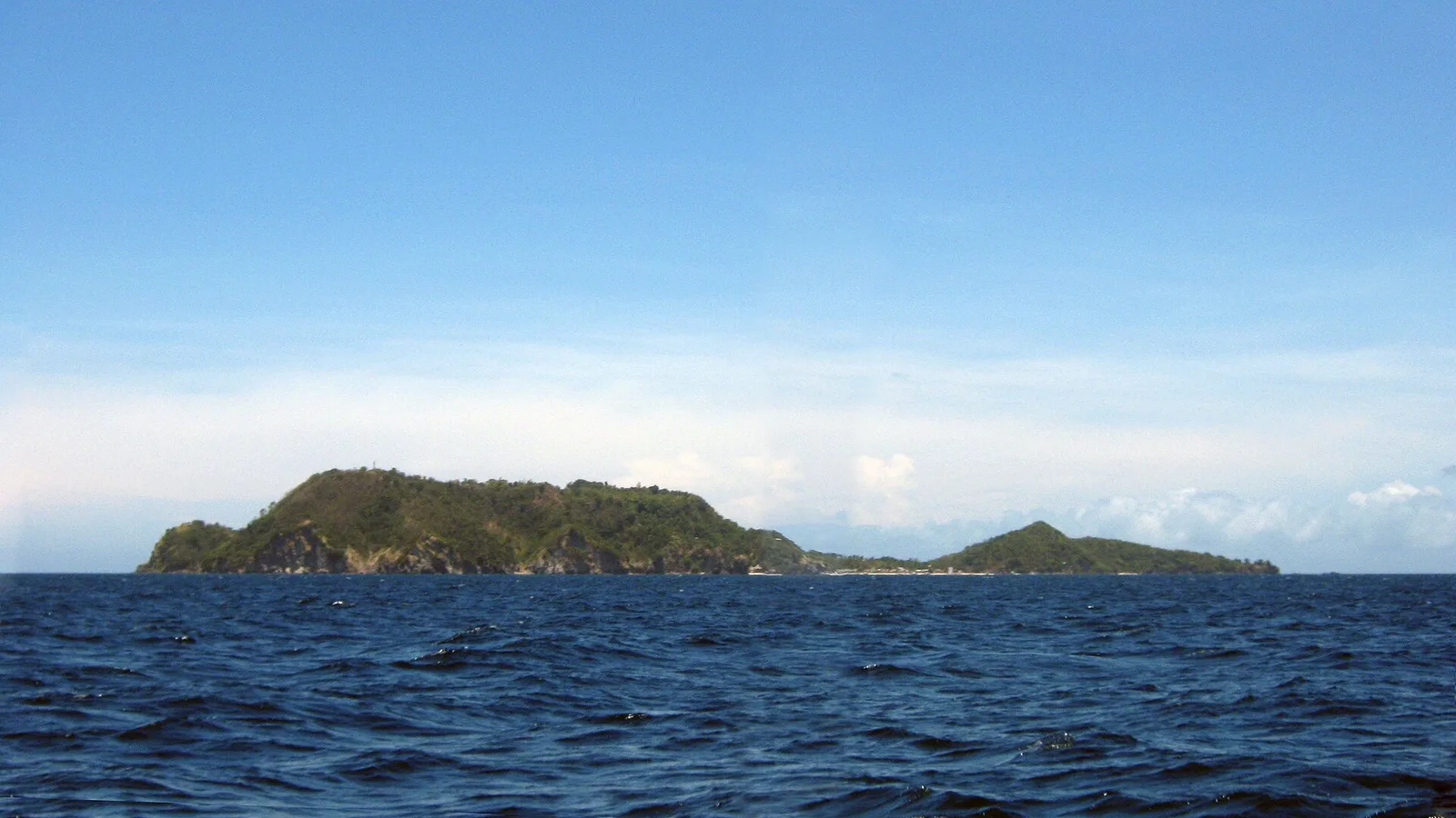 Apo Island Guide 2026 - Turtles, Diving & Reefs