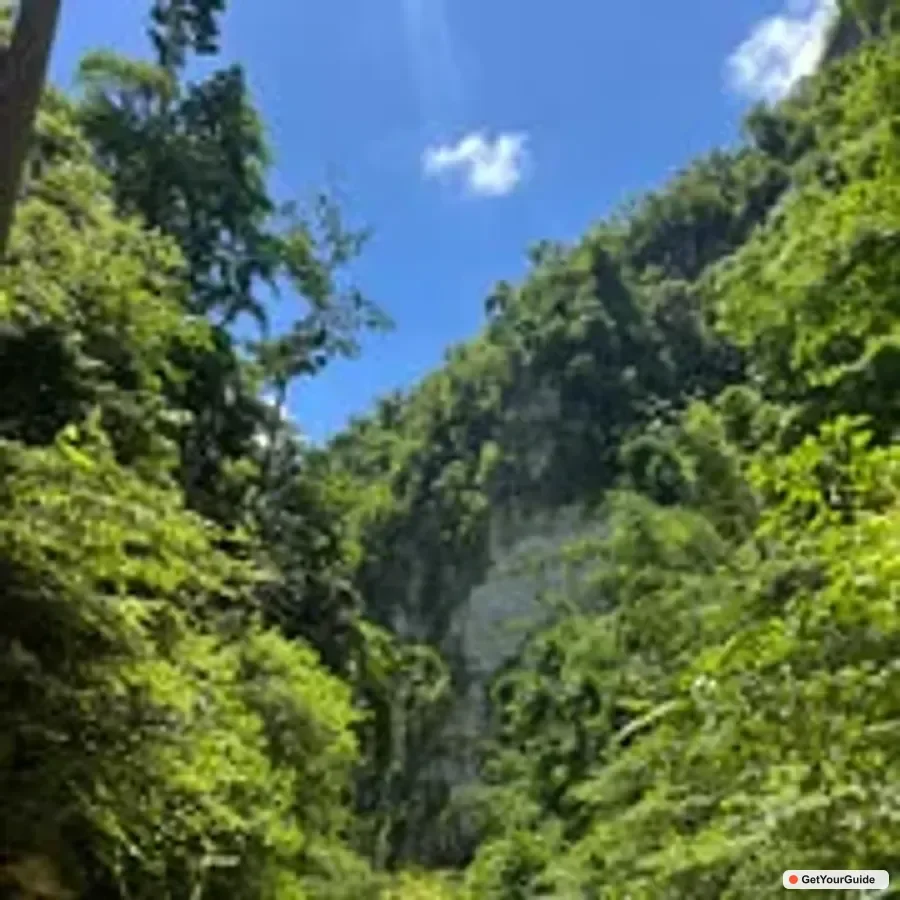 Kawasan Canyoneering with Ziplining Adventure