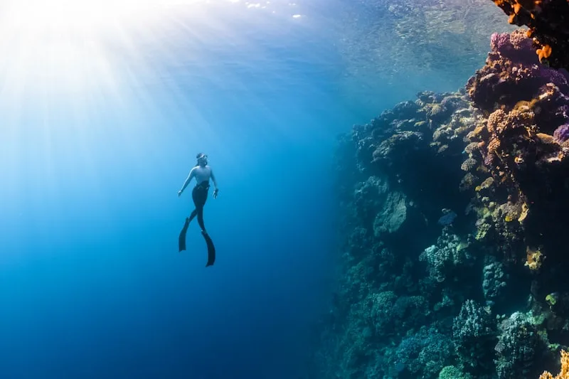 Bohol Panglao Island Hopping & Balicasag Diving