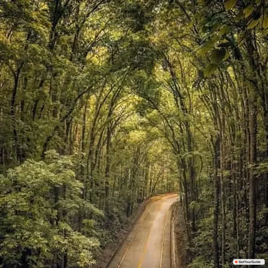 Best of Bohol 2-Day Countryside & Island Adventure
