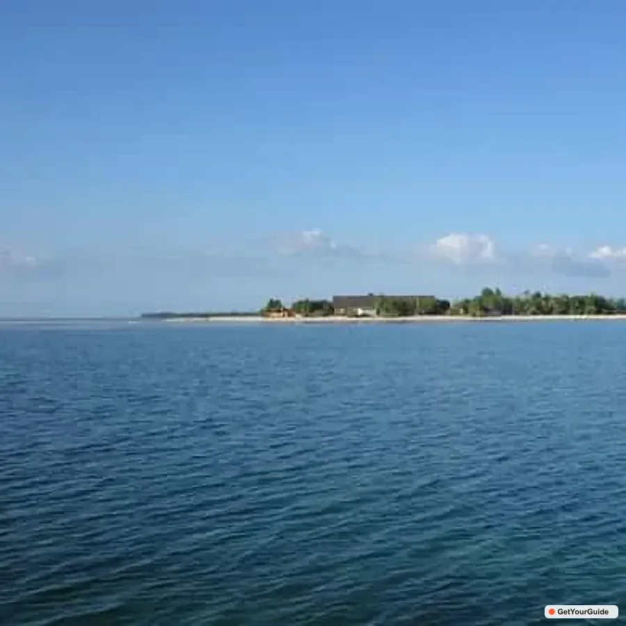 Bohol Balicasag Island Private Tour and Dolphin Watching 1