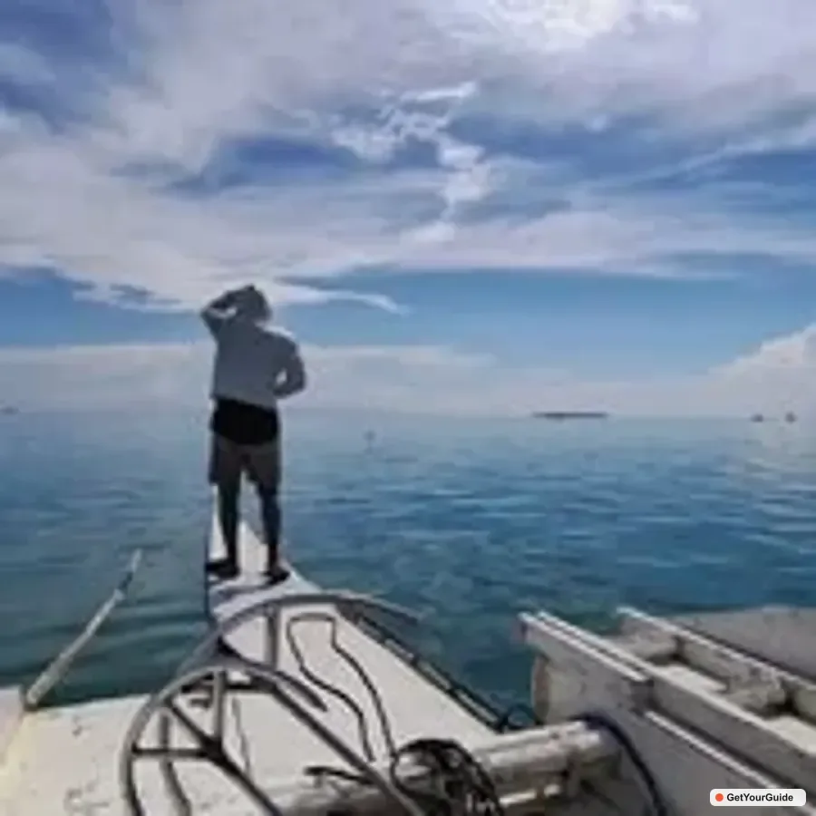 Balicasag Is Private Tour and Dolphin Watching