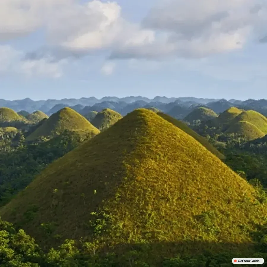 Bohol Choco Tour & Tarsiers with Lunch 1