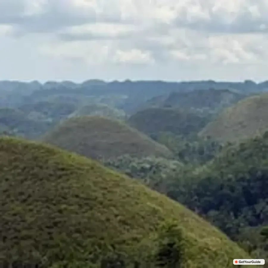 Chocolate Hills and Countryside Tour
