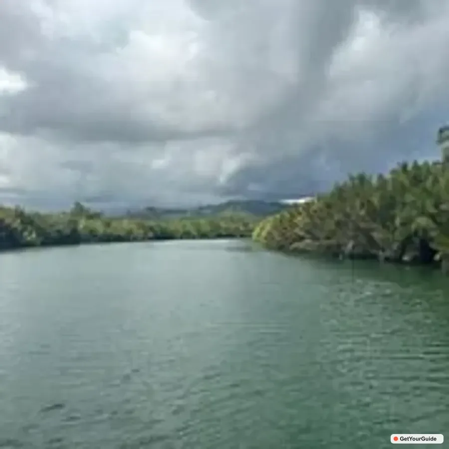 Chocolate Hills, Tarsiers and Loboc River Day Tour