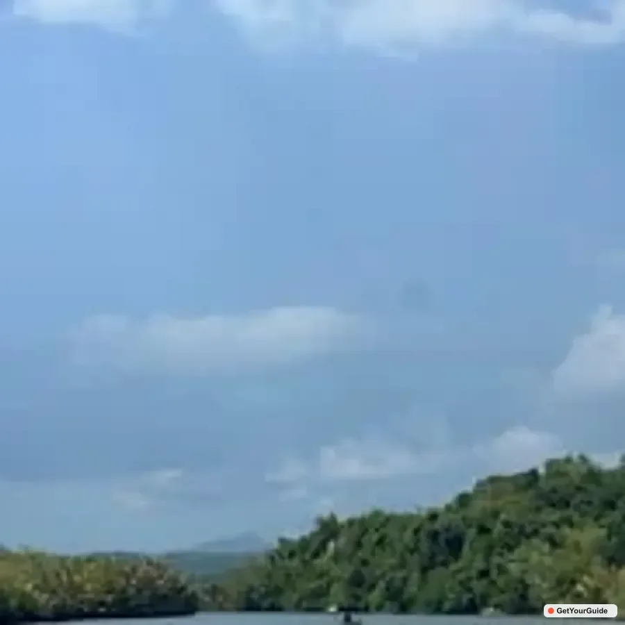 Chocolate Hills, Tarsiers and Loboc River Day Tour