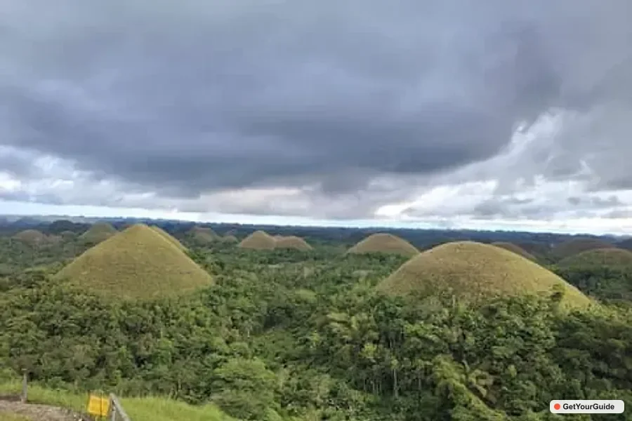 Chocolate Hills, Tarsiers and Loboc River Day Tour