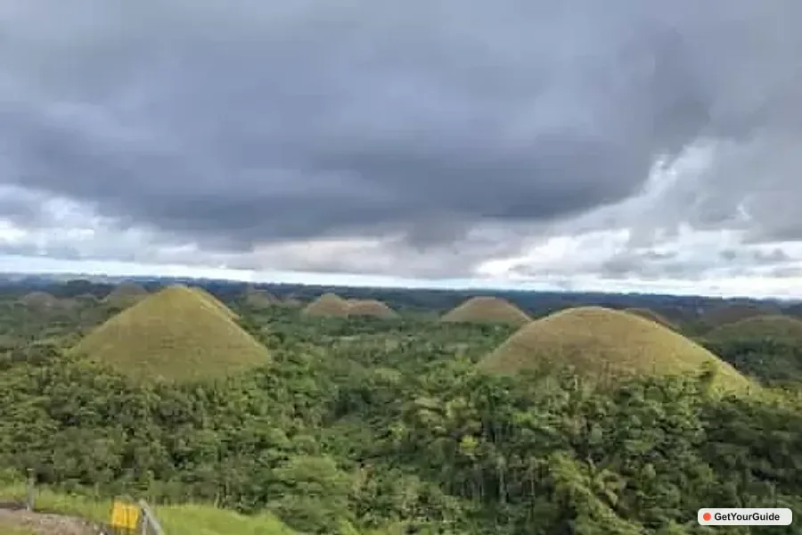 Chocolate Hills, Tarsiers and Loboc River Day Tour