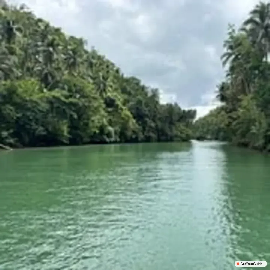 Bohol Countryside Tour with River Cruise Lunch from Cebu