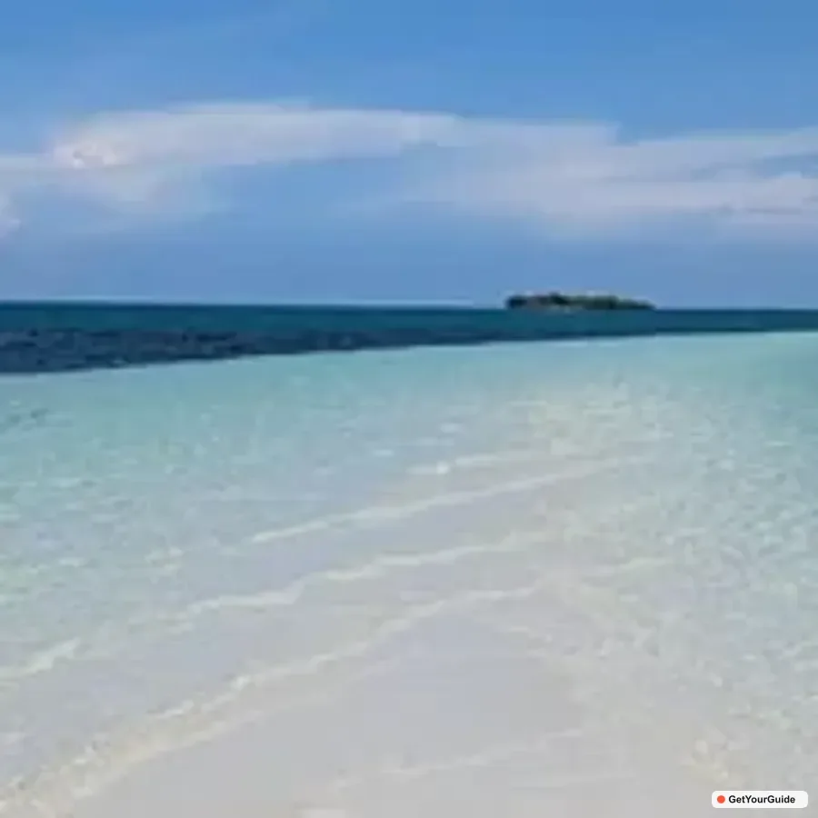 Dolphin, Balicasag, Pamilacan and Virgin Island Tour