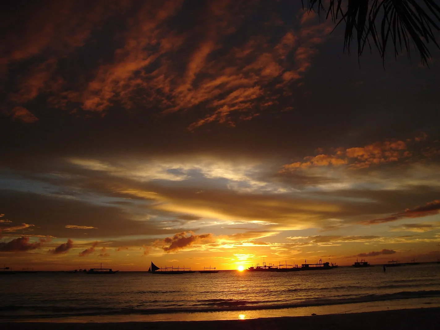 Palm trees and beach scene on Boracay at dusk