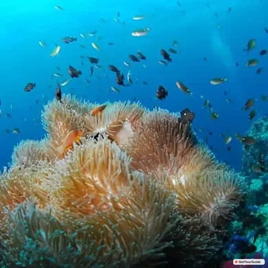 Boracay Island and Beach-Hopping Boat Tour with Snorkeling 1