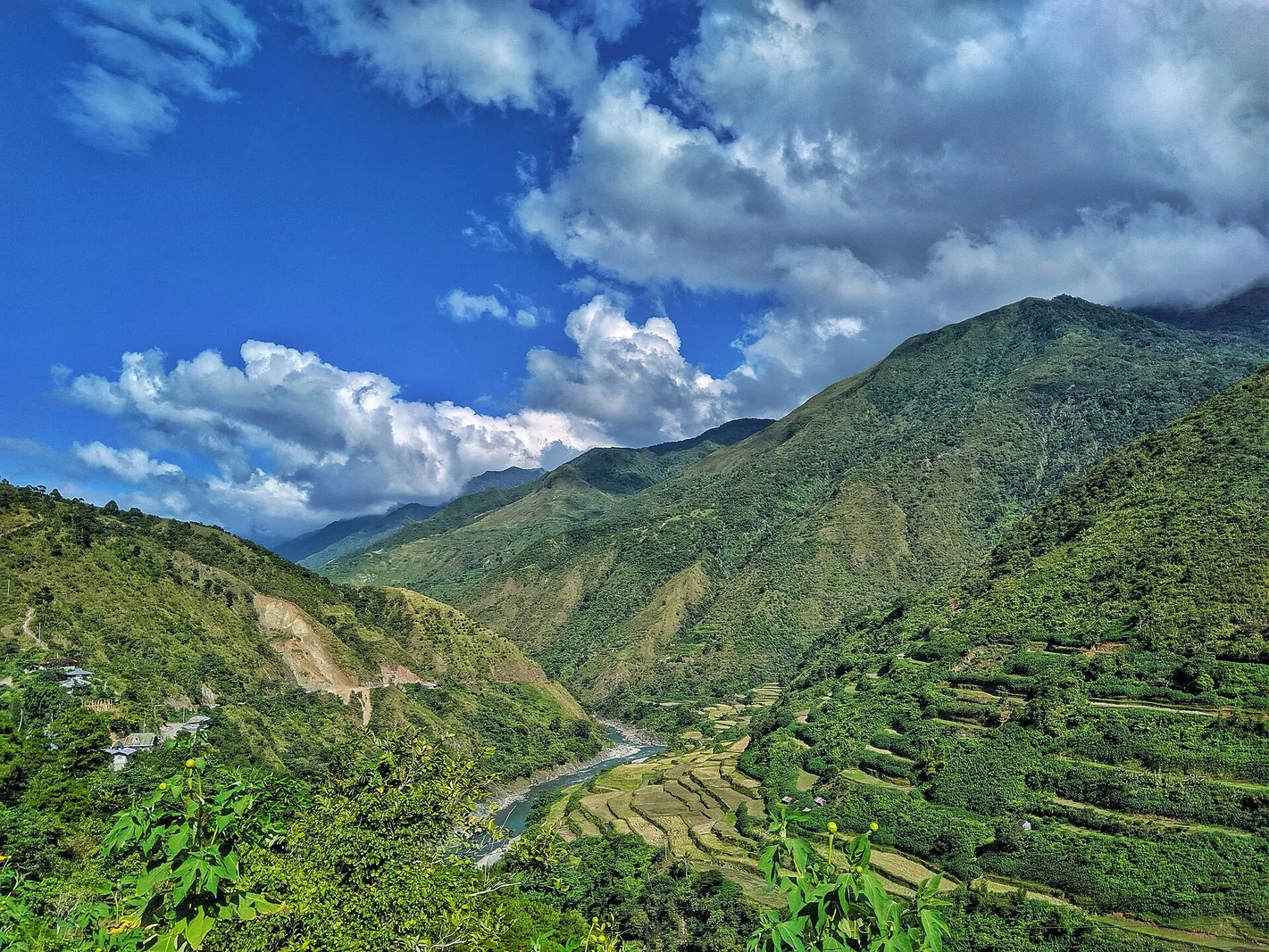 Scenic view from the tour