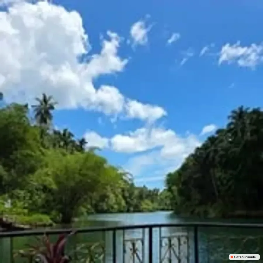 Cebu Countryside Tour w/ Loboc Cruise Lunch