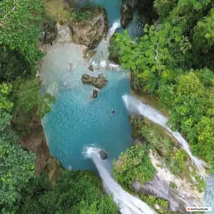 OslobCebu Oslob Whaleshark, Moalboal Sardines Run&Inambakan Falls
