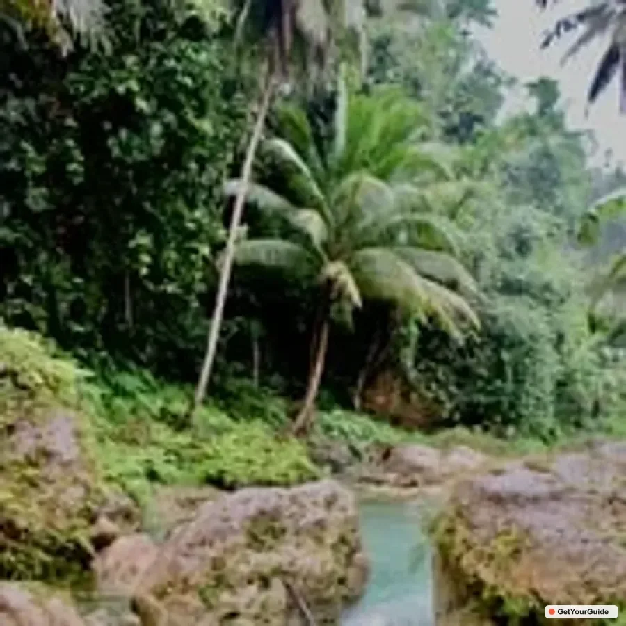 OslobCebu Oslob Whaleshark, Moalboal Sardines Run&Inambakan Falls