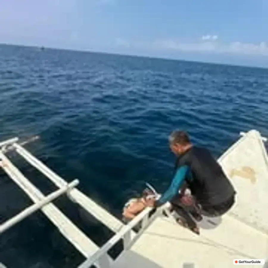 Cebu Pescador Island Snorkeling & Sardine Run 1