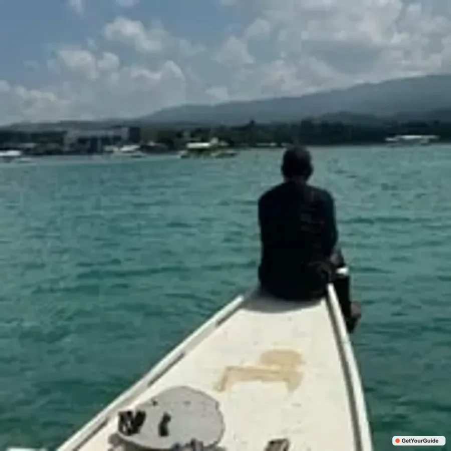 Pescador Island Snorkeling & Sardine Run