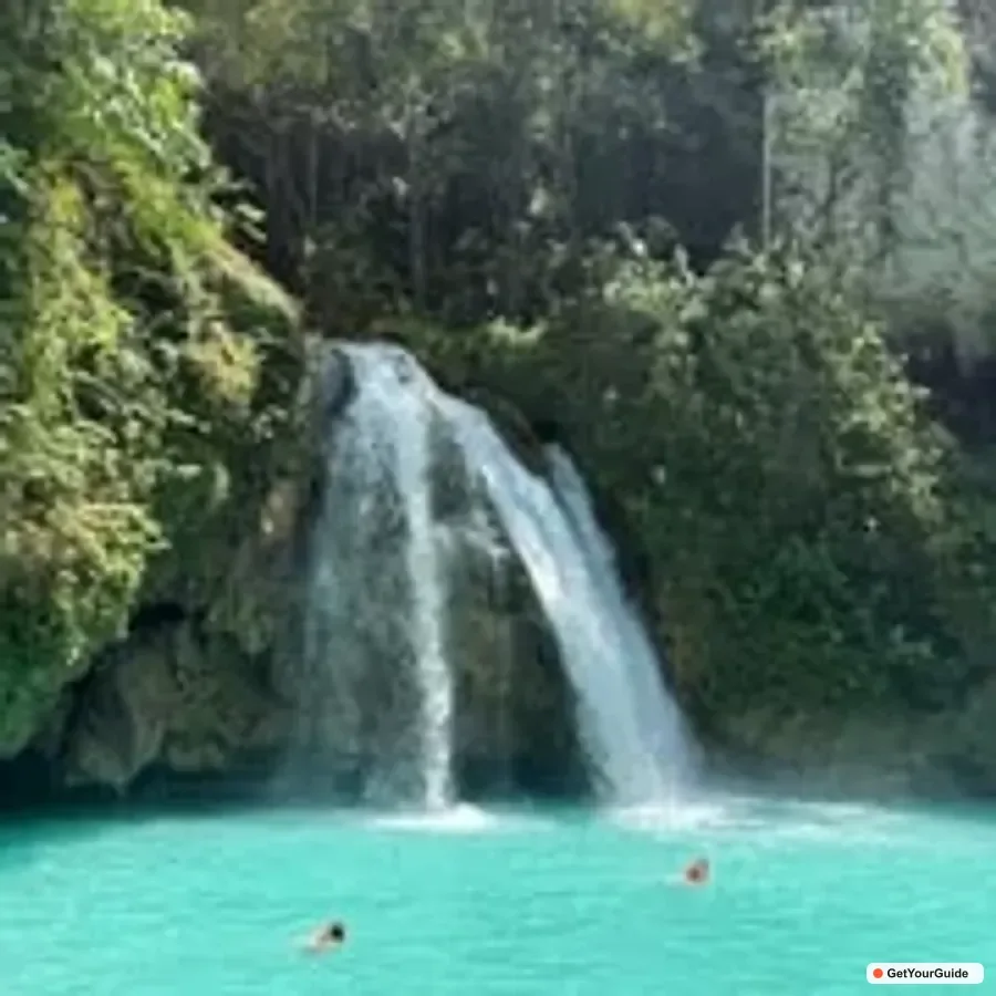 Whale Shark Swim and Kawasan Canyoneering Tour