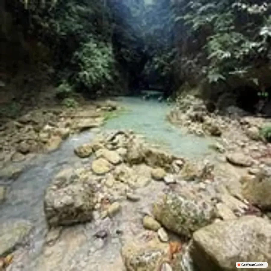 Whale Shark Swim and Kawasan Canyoneering Tour