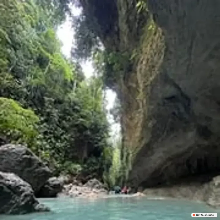 Whale Shark Swim and Kawasan Canyoneering Tour