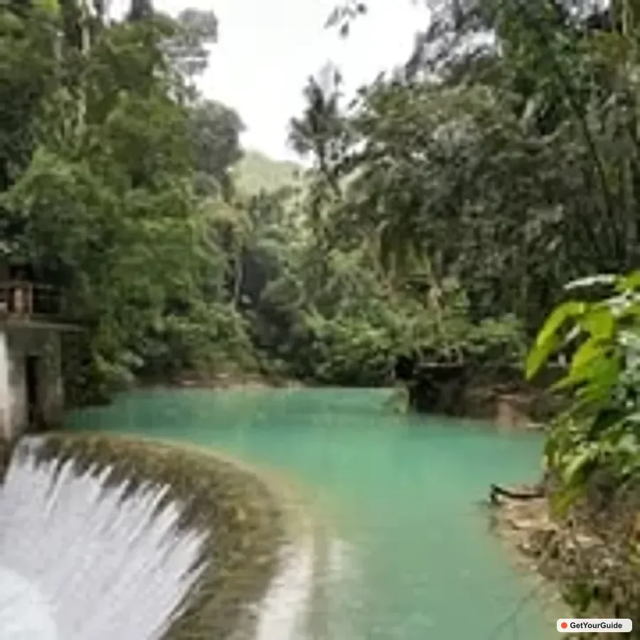 Whale Shark Swim and Kawasan Canyoneering Tour