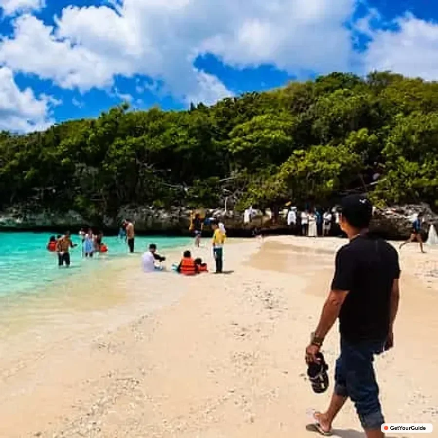 Whale Sharks, Sumilon & Pescador Island Tour