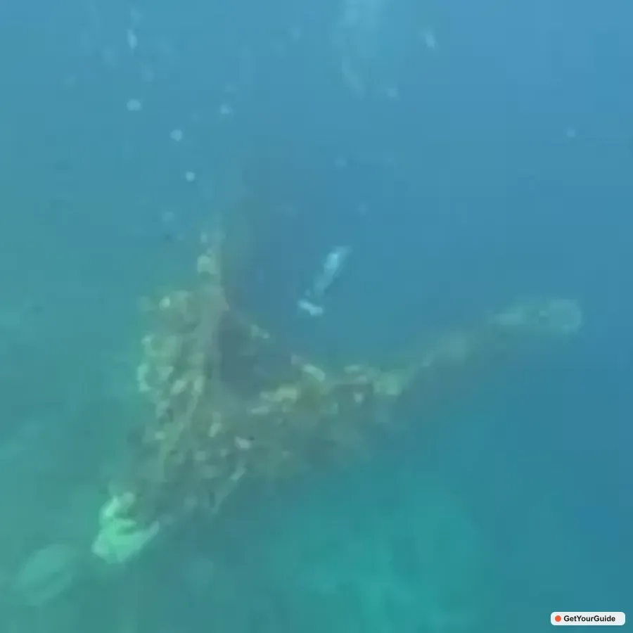 Barracuda Lake, Skeleton Wreck, Twin Lagoon Boat Tour