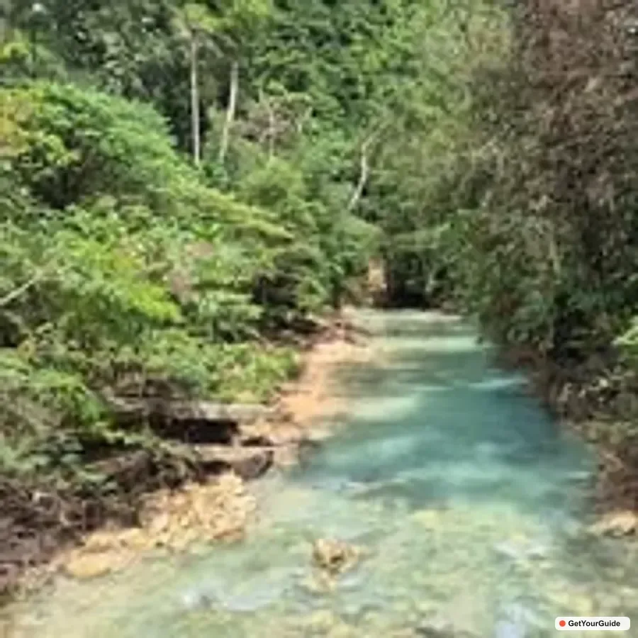 Dao, Inambakan, Kawasan and Mantayupan Waterfalls Trip