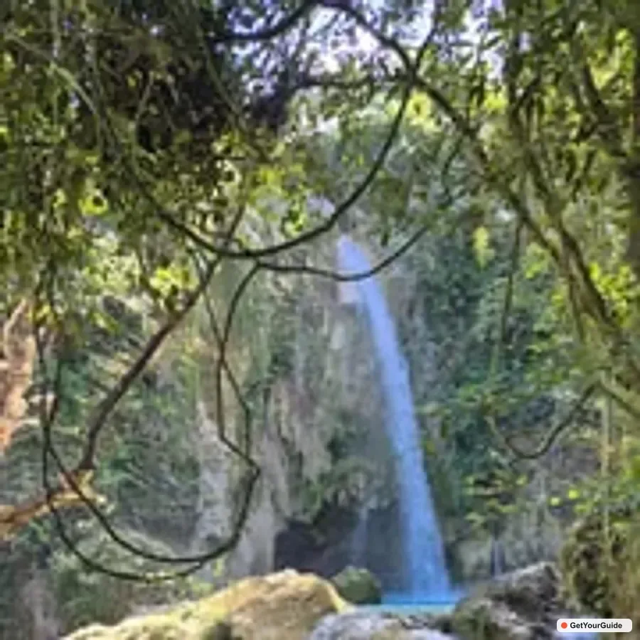 Dao, Inambakan, Kawasan and Mantayupan Waterfalls Trip