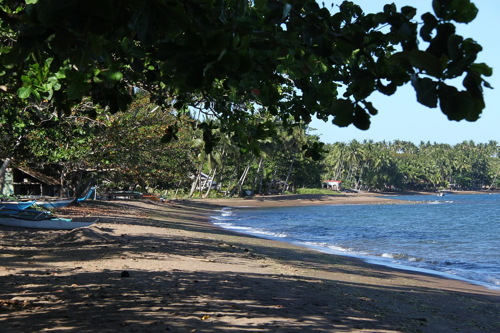 Dauin Black Sand Beach Negros, Philippines