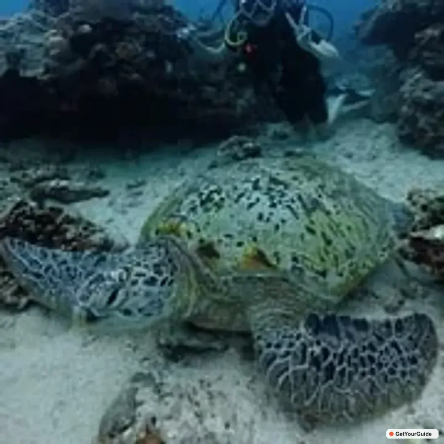 Discover Scuba Diving in Boracay 1