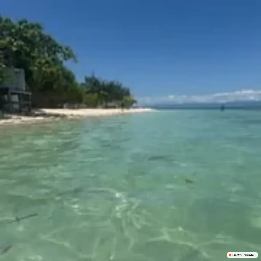 Bohol Dolphin Watching & Sea Turtle Swim Island Hopping