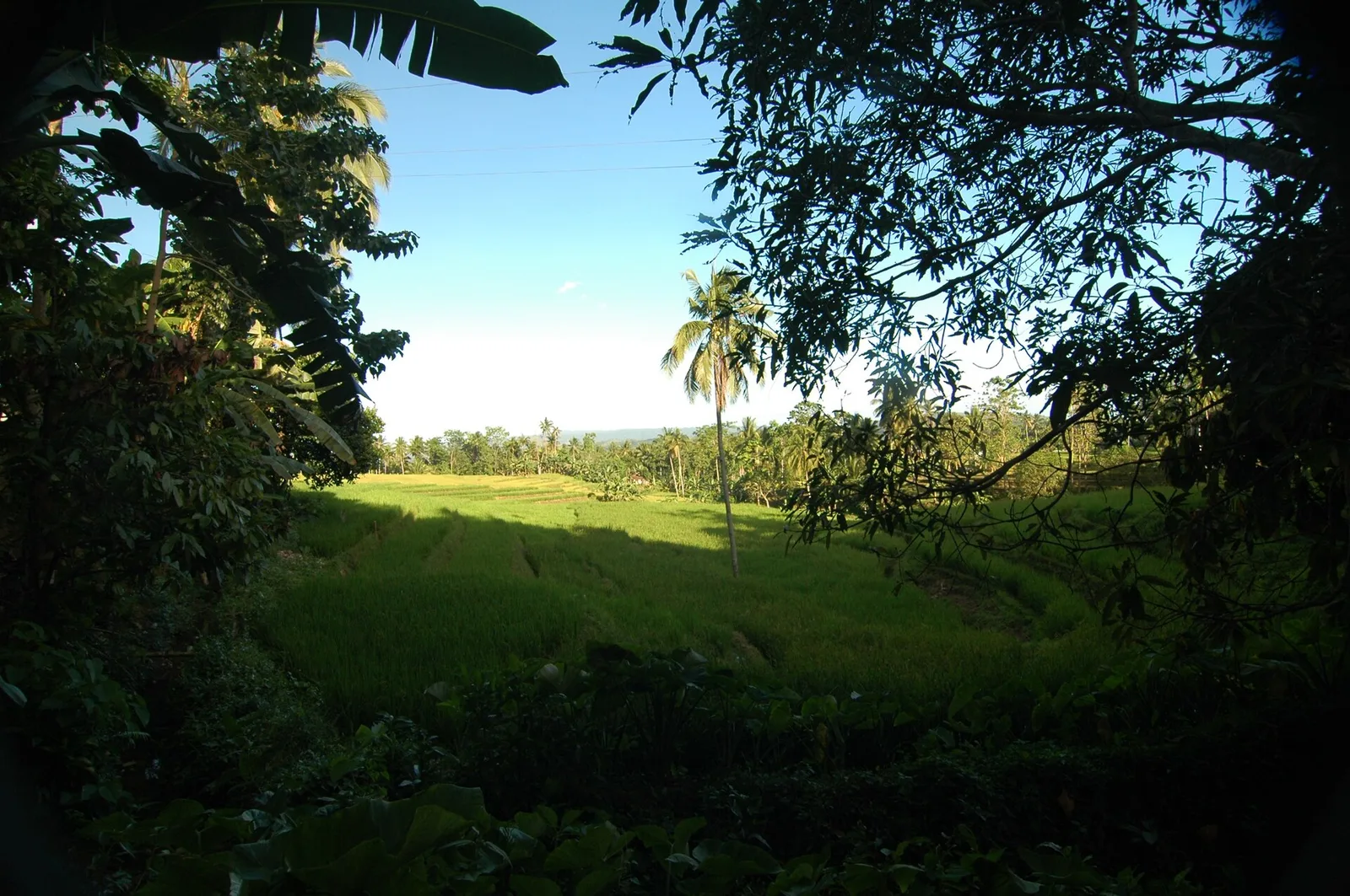 East Bohol Private Tour: Anda, Waterfalls & Lamanok Island